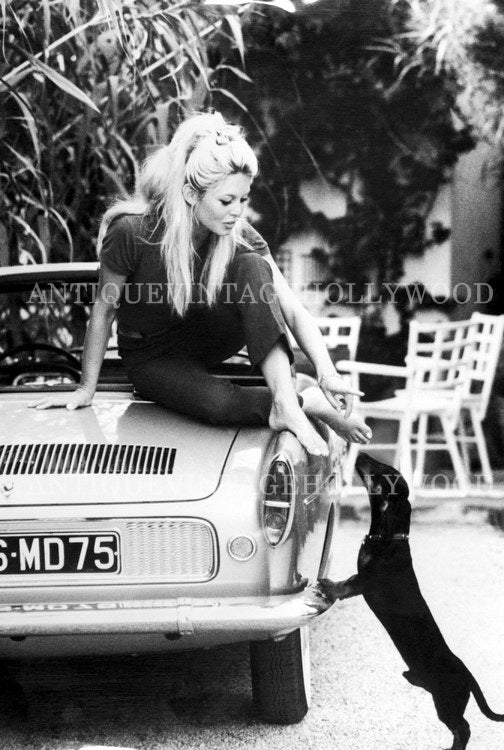 French actress and model Brigitte Bardot with a dachshund next to a Renault Floride in 1959. А00029