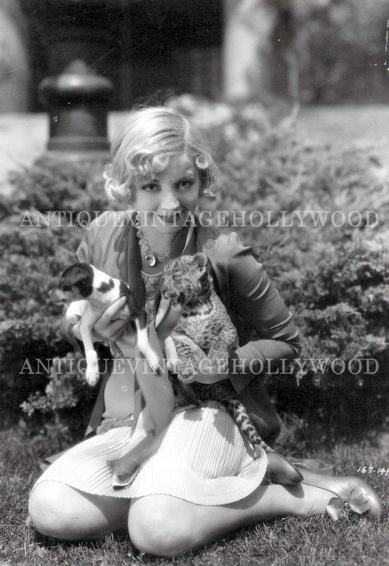 Alice White (1904–1983), an American actress of the silent and early sound film eras. А00039