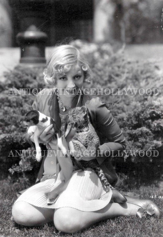 Alice White (1904–1983), an American actress of the silent and early sound film eras. А00039