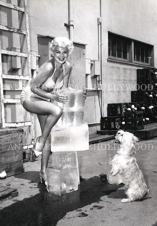 American actress and model Barbara Nichols. A00072