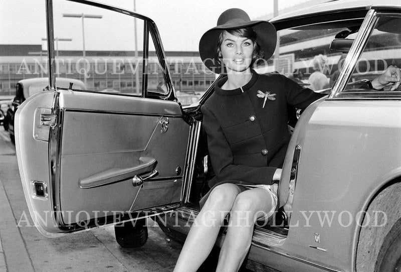 British supermodel of the 1960s, Jean Shrimpton. А00101