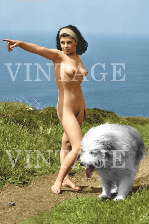 Vintage Pin Up Model Art photography Nude Woman 4" x 6"  00954